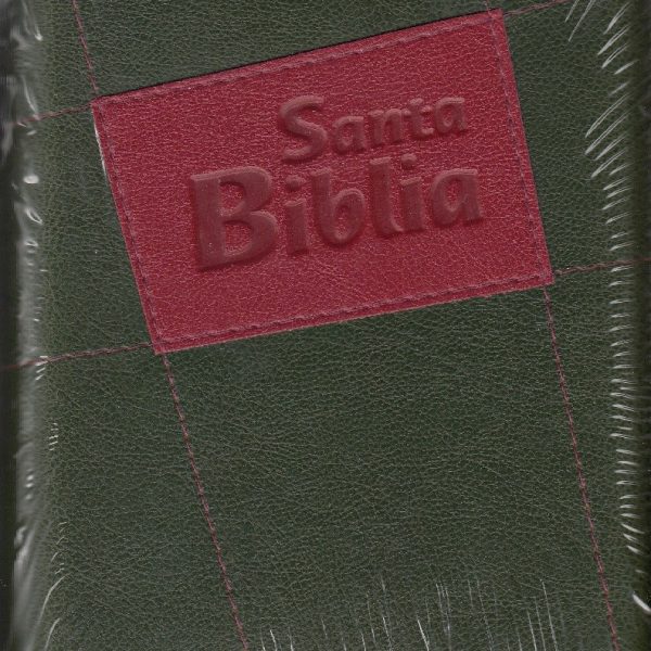 Biblia 45 plateado verde