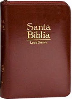 biblia-rvr-055czi-concordancia-cierre-acolchada-indice-vinotinto